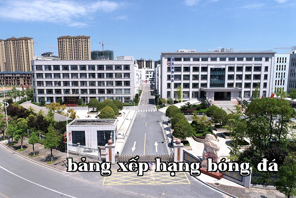 Company location